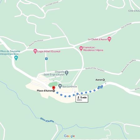 Cosy Appartement Au Calme A Deux Pas Du Centre Auron Εξωτερικό φωτογραφία