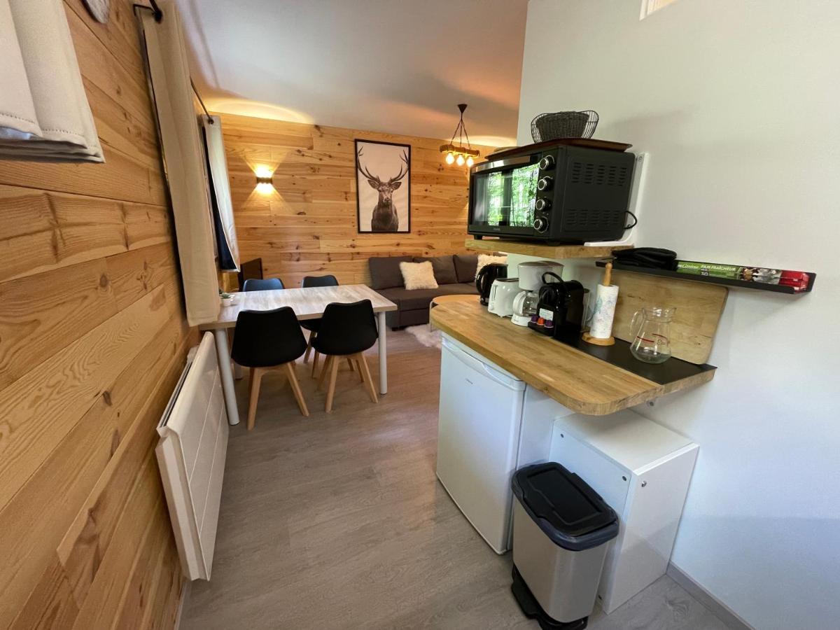 Cosy Appartement Au Calme A Deux Pas Du Centre Auron Εξωτερικό φωτογραφία