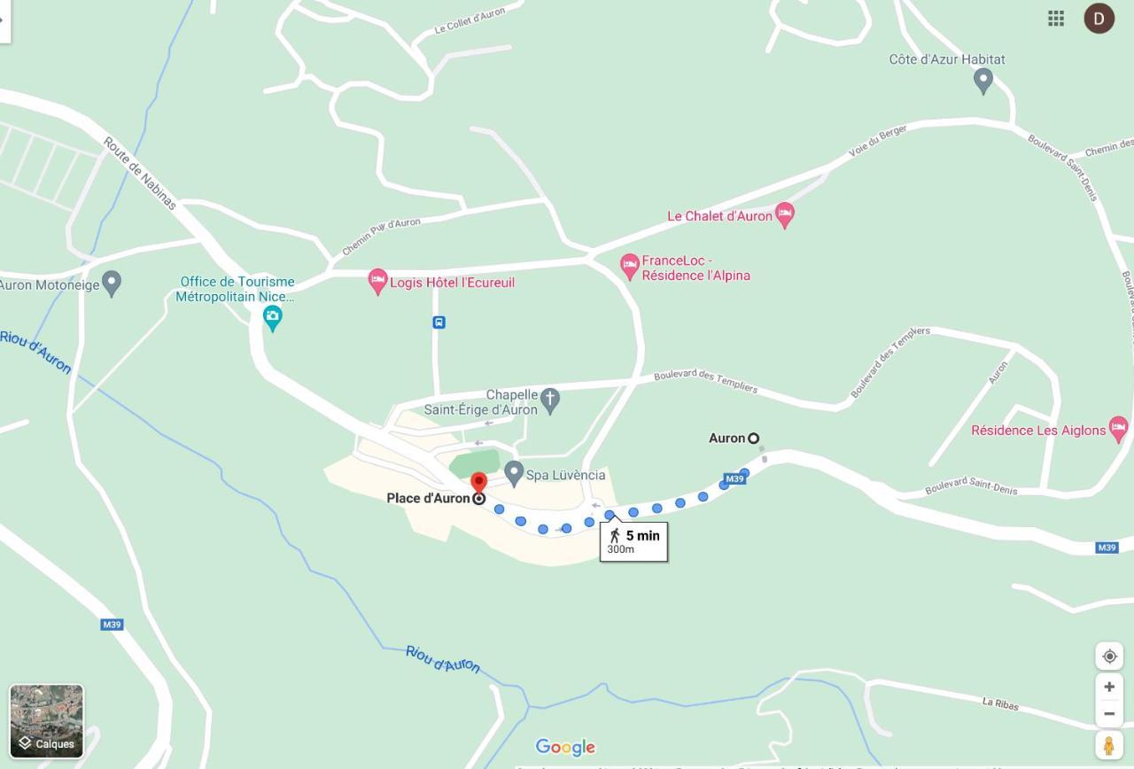 Cosy Appartement Au Calme A Deux Pas Du Centre Auron Εξωτερικό φωτογραφία